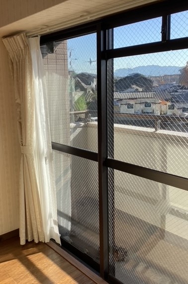 全体の様子